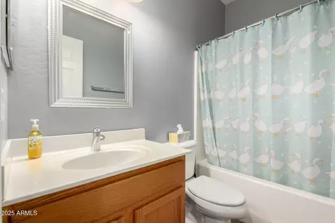 Bath - 4452 E Moreno Ct, Gilbert, AZ 85297 photo 2 of 2