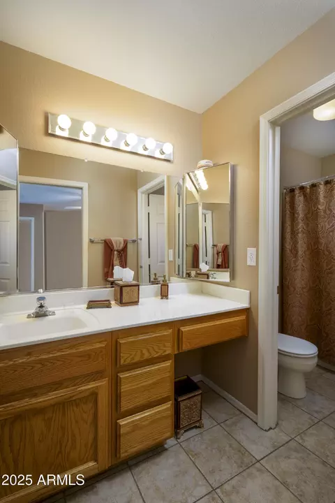 Bath - 7744 E Navarro Ave E, Mesa, AZ 85209 photo 1 of 3