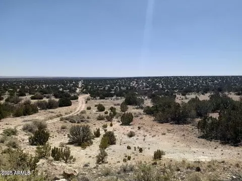 SW 10 Acre 17xx Buffington Hill Road #-, Heber, AZ 85928