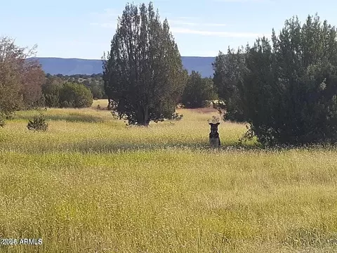 32018 W Calle Ines Pkwy #-, Seligman, AZ 86337