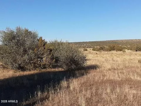 602 Denny 5 Rd #-, Seligman, AZ 86337