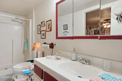 233 E Villa Rita Dr, Phoenix, AZ 85022 photo 18