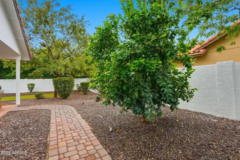 Exterior - 935 E Citation Ln, Tempe, AZ 85284 photo 5 of 10