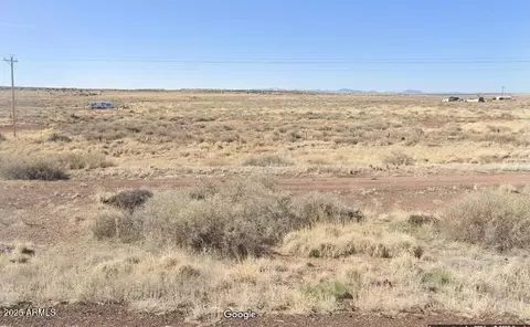 29 County Rd 6025 -- #106, Saint Johns, AZ 85936