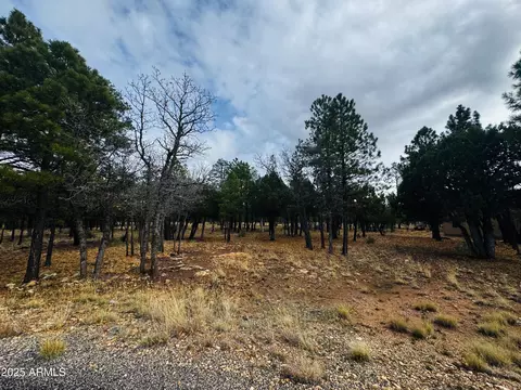 2793 Hummingbird Cir #159, Happy Jack, AZ 86024