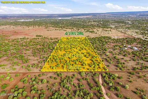 tbd Silver Lake Blvd 1632 Acres -- #L & N, Show Low, AZ 85901