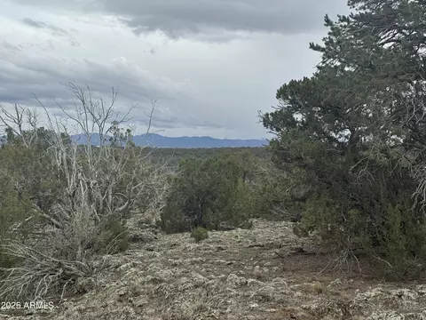 24 Acr 8051 -- #2355, Concho, AZ 85924