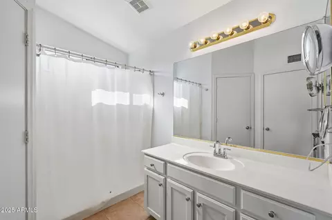 Bath - 11535 E Persimmon Ave, Mesa, AZ 85212 photo 1 of 3