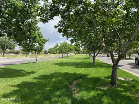 Other - 3677 E Park Ave, Gilbert, AZ 85234 photo 11 of 11