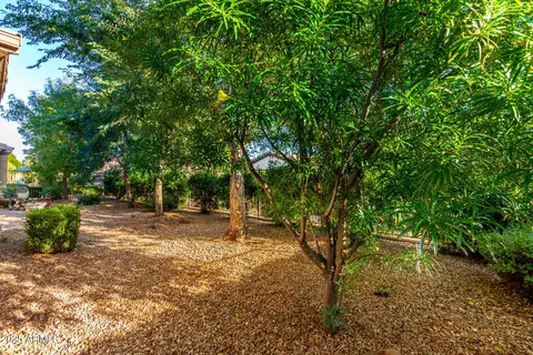 Exterior - 4271 E Sourwood Dr, Gilbert, AZ 85298 photo 5 of 6