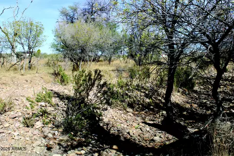 10 E Acres E Roadrunner Lot D Ln #D, Pearce, AZ 85625 photo 3