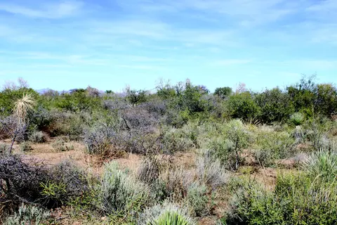 10 E Acres E Roadrunner Lot D Ln #D, Pearce, AZ 85625 photo 26
