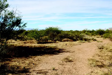 10 E Acres E Roadrunner Lot D Ln #D, Pearce, AZ 85625 photo 6