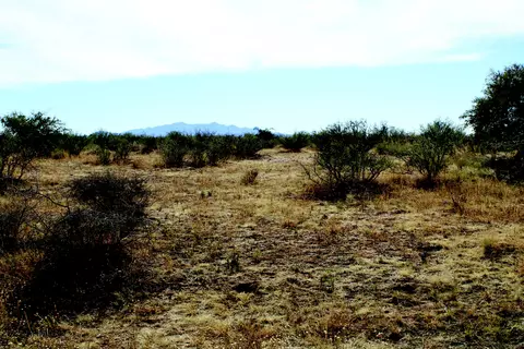 10 E Acres E Roadrunner Lot D Ln #D, Pearce, AZ 85625 photo 36