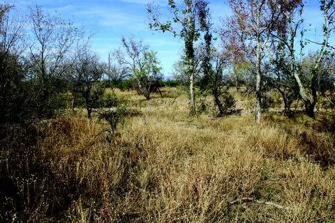 10 E Acres E Roadrunner Lot D Ln #D, Pearce, AZ 85625 photo 7