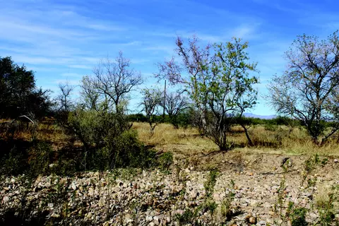 10 E Acres E Roadrunner Lot D Ln #D, Pearce, AZ 85625 photo 35