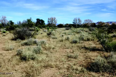 10 E Acres E Roadrunner Lot D Ln #D, Pearce, AZ 85625 photo 28