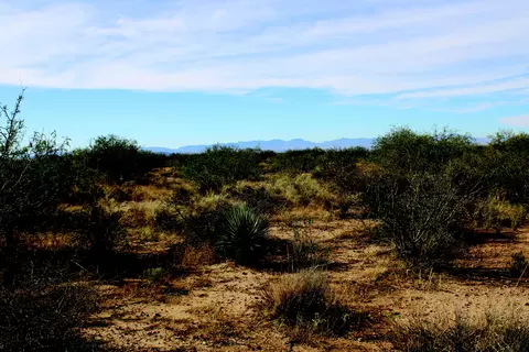 10 E Acres E Roadrunner Lot D Ln #D, Pearce, AZ 85625 photo 25