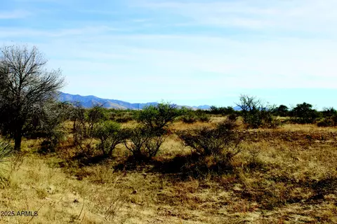 10 E Acres E Roadrunner Lot D Ln #D, Pearce, AZ 85625 photo 37