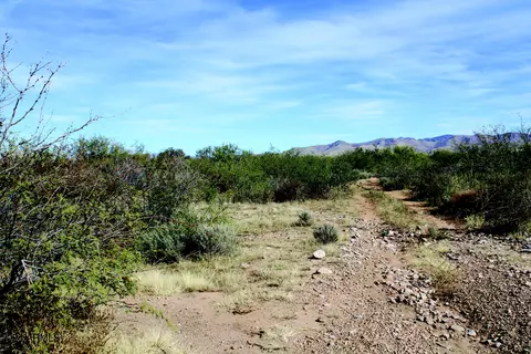 10 E Acres E Roadrunner Lot D Ln #D, Pearce, AZ 85625 photo 5