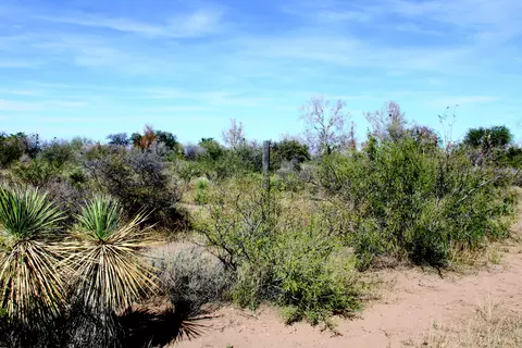 10 E Acres E Roadrunner Lot D Ln #D, Pearce, AZ 85625 photo 29