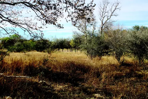 10 E Acres E Roadrunner Lot D Ln #D, Pearce, AZ 85625 photo 34