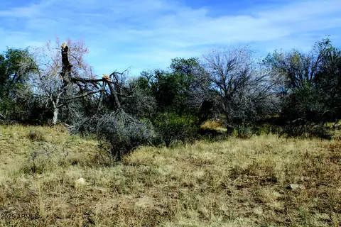 10 E Acres E Roadrunner Lot D Ln #D, Pearce, AZ 85625 photo 33