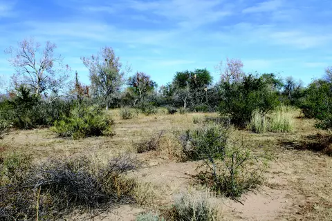 10 E Acres E Roadrunner Lot D Ln #D, Pearce, AZ 85625 photo 30