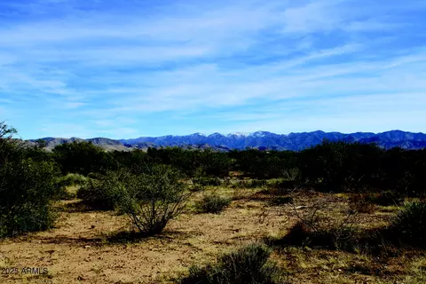 10 E Acres E Roadrunner Lot D Ln #D, Pearce, AZ 85625 photo 24