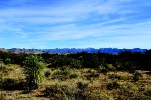 10 E Acres E Roadrunner Lot D Ln #D, Pearce, AZ 85625 photo 27