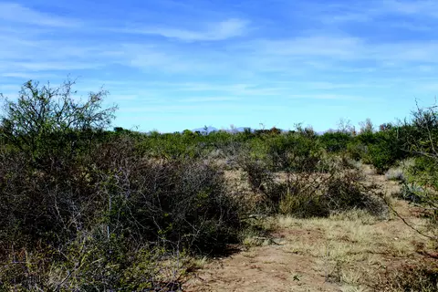 10 E Acres E Roadrunner Lot D Ln #D, Pearce, AZ 85625 photo 23