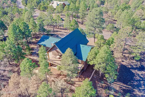 2893 Cedar Ridge Dr, Overgaard, AZ 85933 photo 53