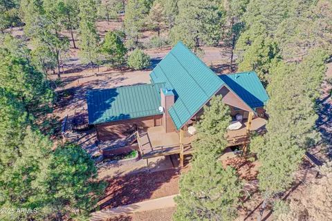 2893 Cedar Ridge Dr, Overgaard, AZ 85933 photo 50