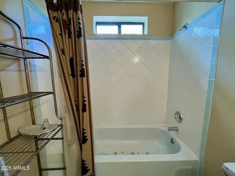 Bath - 6314 W Bradshaw Dr, Pine, AZ 85544 photo 3 of 5