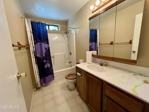 Bath - 6314 W Bradshaw Dr, Pine, AZ 85544 photo 4 of 5