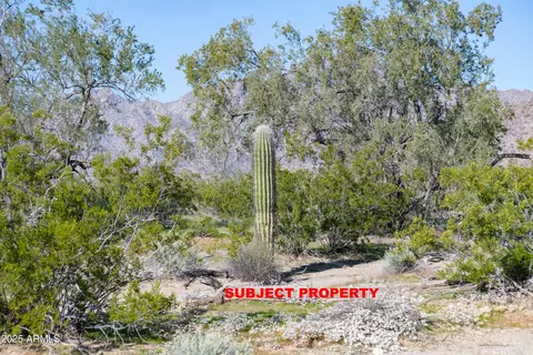 2 E Acres E Ocotillo No Address Rd #-, Buckeye, AZ 85396 photo 10