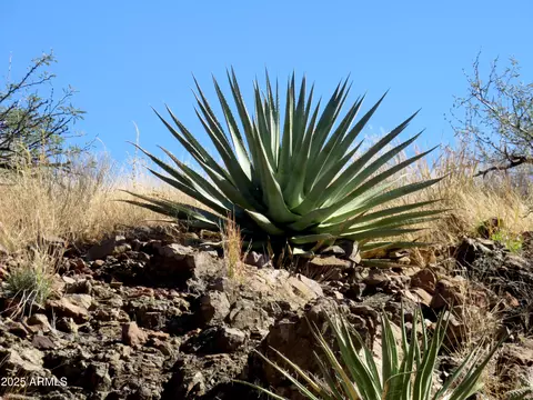 tbd E Walnut Springs Rd #47, Douglas, AZ 85607 photo 7