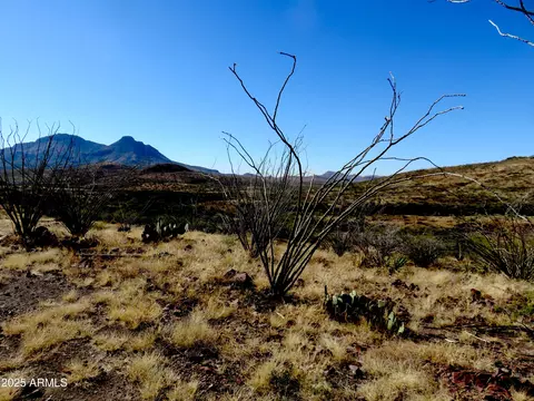 tbd E Walnut Springs Rd #47, Douglas, AZ 85607 photo 24