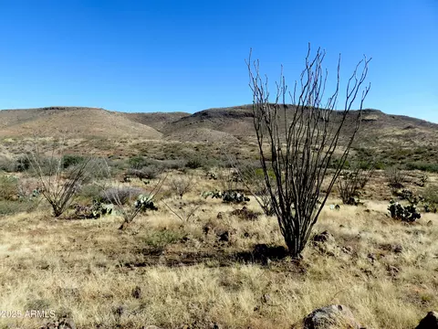 tbd E Walnut Springs Rd #47, Douglas, AZ 85607 photo 2