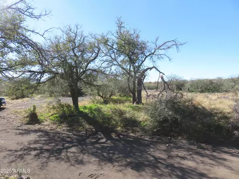 tbd E Walnut Springs Rd #47, Douglas, AZ 85607 photo 12
