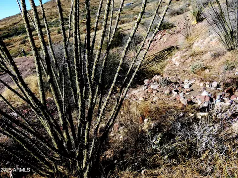 tbd E Walnut Springs Rd #47, Douglas, AZ 85607 photo 19