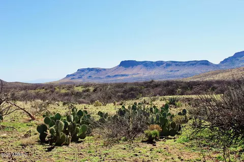 tbd E Walnut Springs Rd #47, Douglas, AZ 85607 photo 26