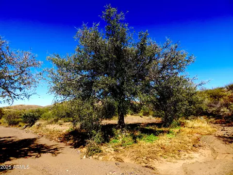 tbd E Walnut Springs Rd #47, Douglas, AZ 85607 photo 14