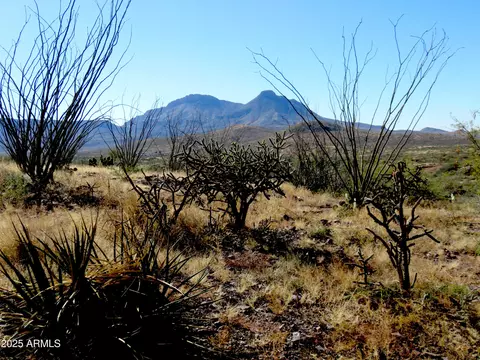 tbd E Walnut Springs Rd #47, Douglas, AZ 85607 photo 21