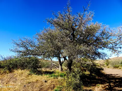 tbd E Walnut Springs Rd #47, Douglas, AZ 85607 photo 13
