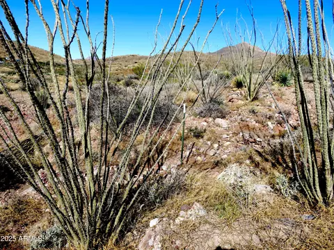 tbd E Walnut Springs Rd #47, Douglas, AZ 85607 photo 20
