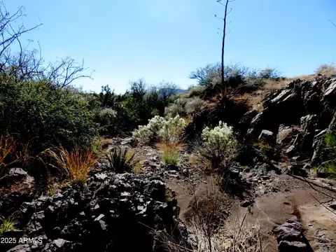 tbd E Walnut Springs Rd #47, Douglas, AZ 85607 photo 15