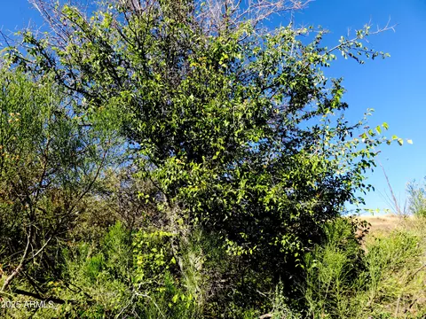 tbd E Walnut Springs Rd #47, Douglas, AZ 85607 photo 17