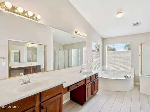 Bath - 9926 E Pantera Ave, Mesa, AZ 85212 photo 1 of 5