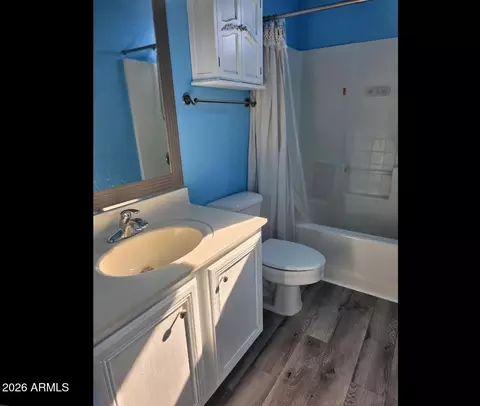 Bath - 1938 E Los Alamos St, Gilbert, AZ 85295 photo 5 of 5